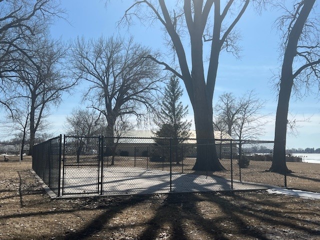 Pickleball Court