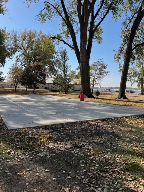 Pickleball Court